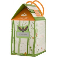 Primitivo Terre di Chieti IGP Bag in Box 3l Lunaria