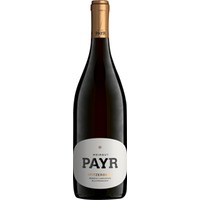 Ried Spitzerberg Blaufränkisch Carnuntum DAC 1 ÖTW Lagenwein trocken - Weingut Payr