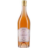 Wiener Rosé Antoinette 2021