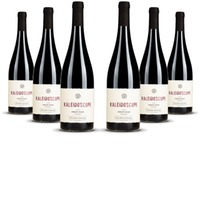 Julien Schaal Pinot Noir Kaleidoscope Elsass