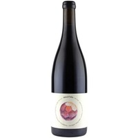 Weingut Rudolf Fidesser Orbis Natural Wine rot