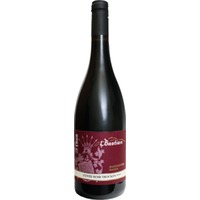 Pinot Noir 4* trocken - Weingut L. Bastian