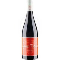 Pinot Noir In Signo Tauri Bayer