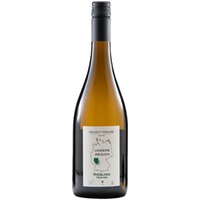 Rheinhessen Riesling trocken Bio - Weingut Helmut Krauß