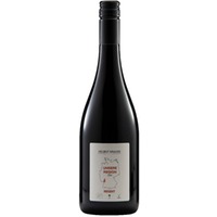 Rheinhessen Regent trocken Bio - Weingut Helmut Krauß
