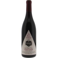 Pinot Noir Runway Vineyard
