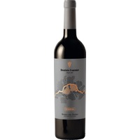 Dominio Fournier Reserva