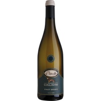 Eugenio Collavini Villa Canlungo Pinot Grigio Collio - 6Fl. á 0,75l