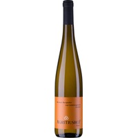 Weißer Burgunder vom Schiefergestein trocken - Weingut Agritiushof
