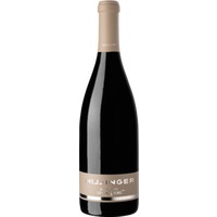 Hillinger BIO Pinot Blanc