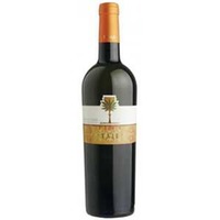 Taif Igt Terre Siciliane Zibibbo