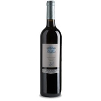 Embruix de Vall-Llach Magnum