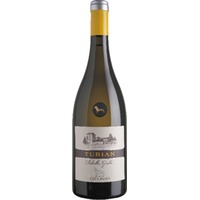 Collavini Eugenio Turian Ribolla Gialla Friuli Colli Orientali DOC