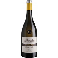 Turian Ribolla Gialla Friuli Colli Orientali DOC - Collavini