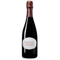 Bonnet-Ponson Seconde Nature Champagne Chamery Premier Cru Brut Nature Blanc