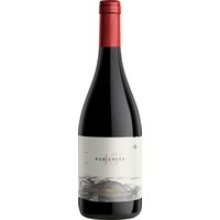 Bodega Otronia 45° Rugientes Pinot Noir - 6Fl. á 0,75l