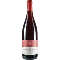 Spätburgunder Qualitätswein trocken - Weingut Poth