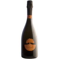 Spumante Metedo Classico RS brut - Roberto Scubla