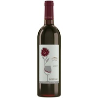 Merlot Friuli Aquileia DOC trocken - Foffani