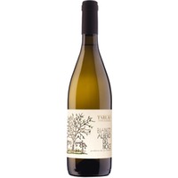 Friulano "Albero del Noce" Friuli Aquileia DOC trocken - Tarlao