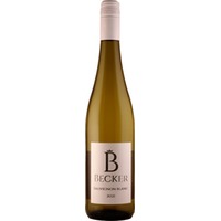 Sauvignon blanc