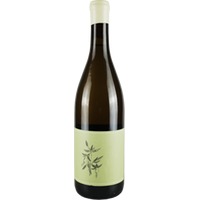 Ribolla Gialla - Vare Vineyard