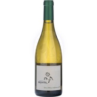 Grüner Veltliner Bio Strasser Weinberge Arndorfer