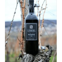 Leberl Peccatum