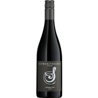 Dornfelder trocken Bio - Weingut Schwarztrauber