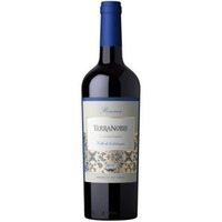 Terra Noble - Carmenère Reserva 2021