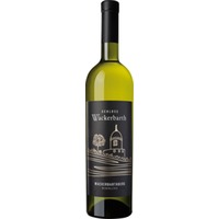 Riesling Wackerbarthberg trocken - Sächsisches Staatsweingut Schloss Wackerbarth