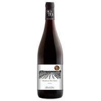 Dominio del Soto Crianza