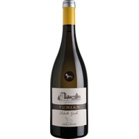 Eugenio Collavini Turian Ribolla Gialla Friuli Colli Orientali