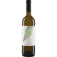 Zelen Classic Vipavska Dolina Zgp - Guerila Wines