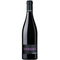 Domaine de Fondrèche Divergente Ventoux