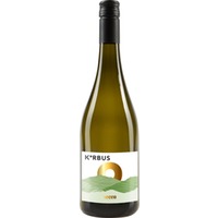 Secco trocken - Korbus Wine