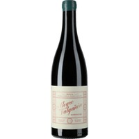 Garnacha Tinto
