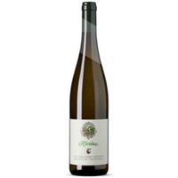 Riesling Eisacktal DOC