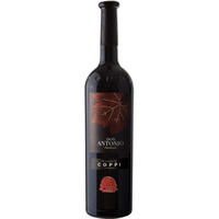 Don Antonio Primitivo Puglia IGP trocken - Cantina Coppi