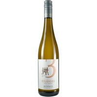 Ruländer Kabinett feinherb - Familien-Weingut Renner