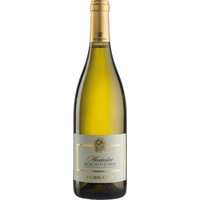 Bersano Monteolivo Moscato D´Asti - 6Fl. á 0,75l