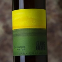 Muster Sauvignon Vom Opok