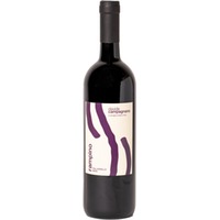 Rampino Terre del Volturno IGP trocken Bio - Davide Campagnano