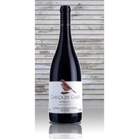 Cabeça de Gaio - Reserva