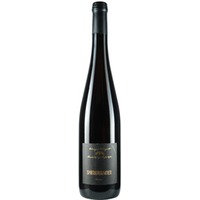 Spätburgunder trocken - Weingut Wissgott
