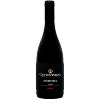 Patientia Lazio IGP trocken Bio - CantinAmena
