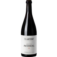 Pinot Noir Niersteiner Paterberg GG - St.Antony