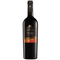 Puglia Nero di Troia Puglia IGP 0,75l 14% | Due Palme