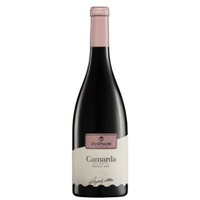 Camarda Brindisi Rosso DOP 0,75L 12,5% | Due Palme