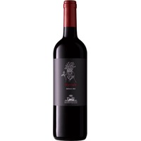 Syrah Sicilia DOC - Sallier de La Tour